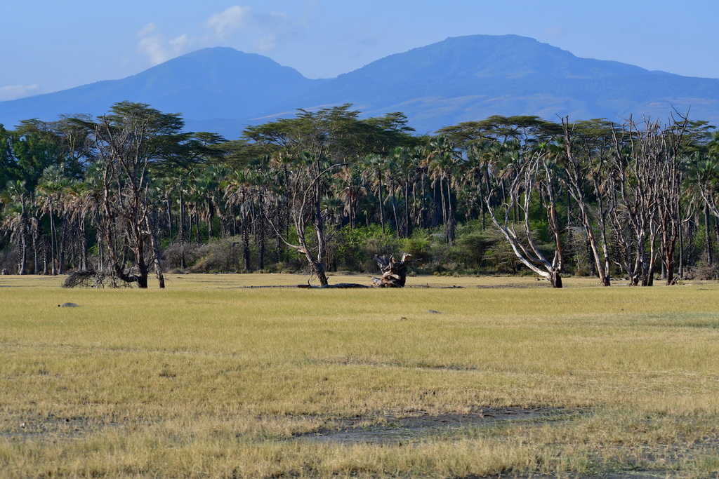 Lake Eyasi